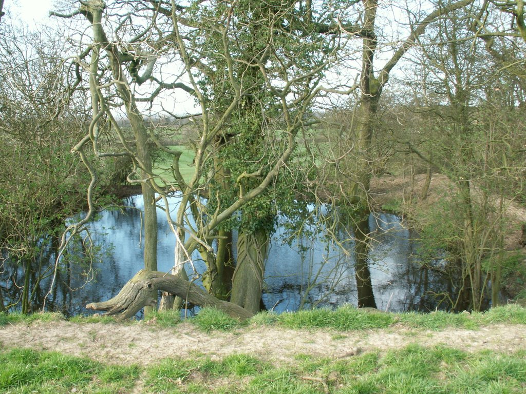 Spooky Pond by Richard Linley