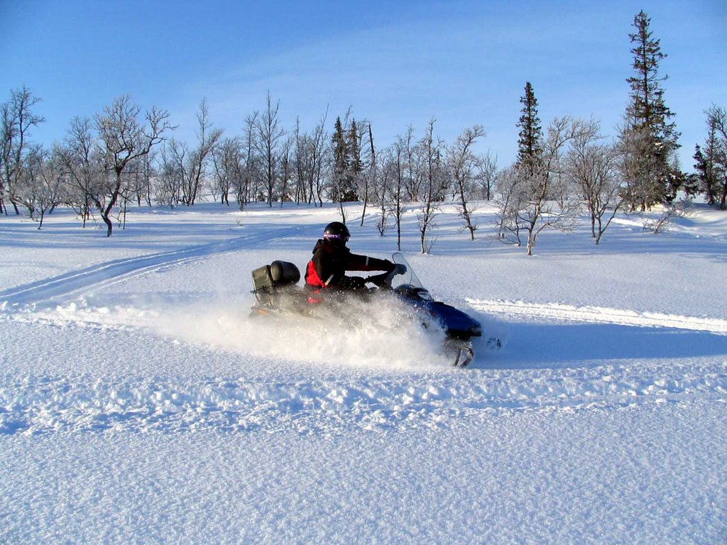 Skii-doo driving close to Skalstugan by felczak