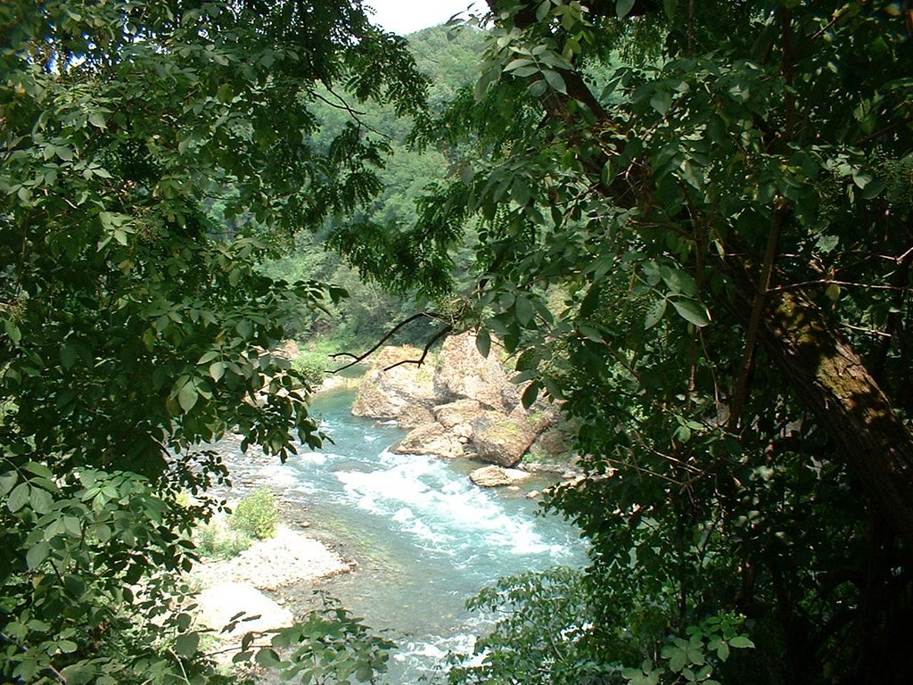 Lungo l'adda, altezza paderno by coggia