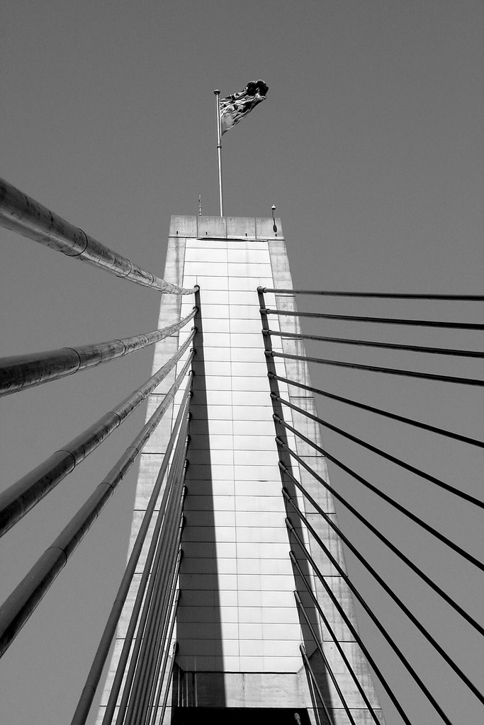 Flag, ANZAC Bridge by Senex Prime