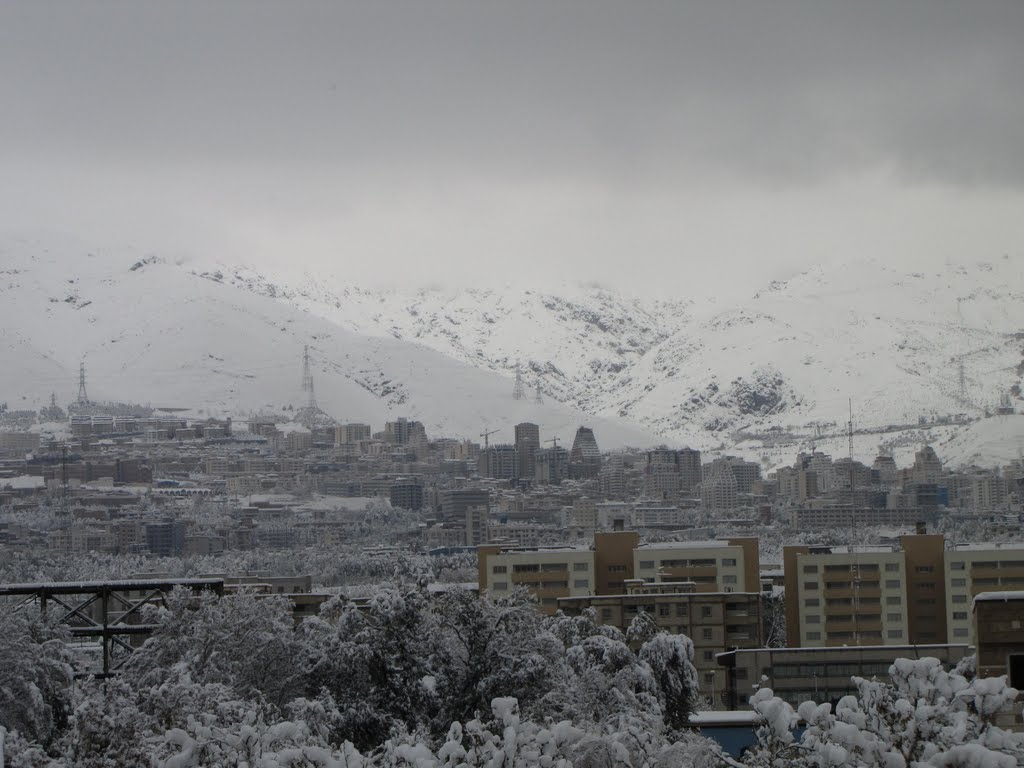 ##A Snowy Day in Autumn, Nov-09-2011## by Manouchehr Daryabandeh