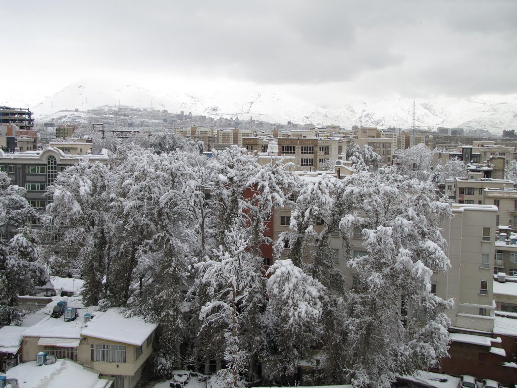 ##A Snowy Day in Autumn, Nov-09-2011## by Manouchehr Daryabandeh