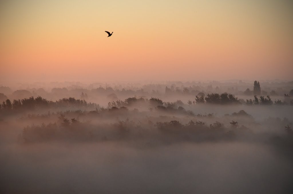 8-tallet. View from my balcony by Janek Mastek