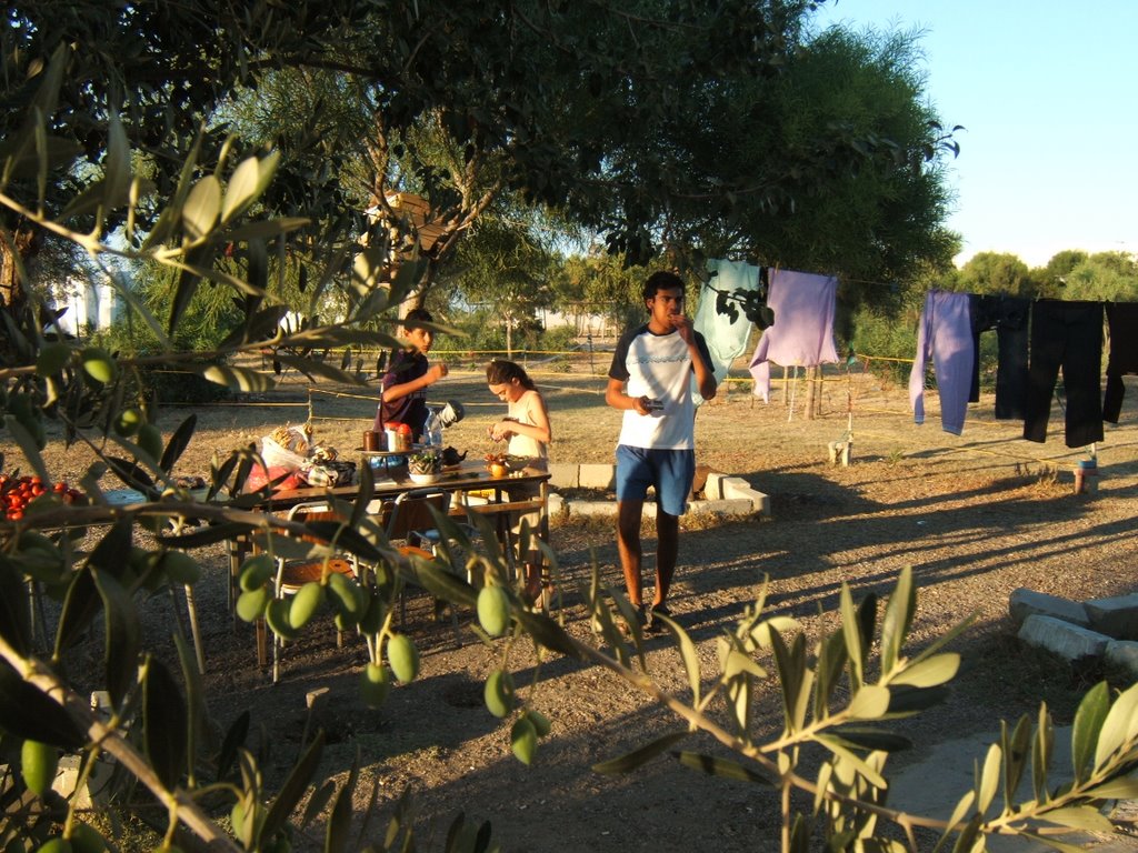 Le camping du Salloum été 2006 by Rached Msadek