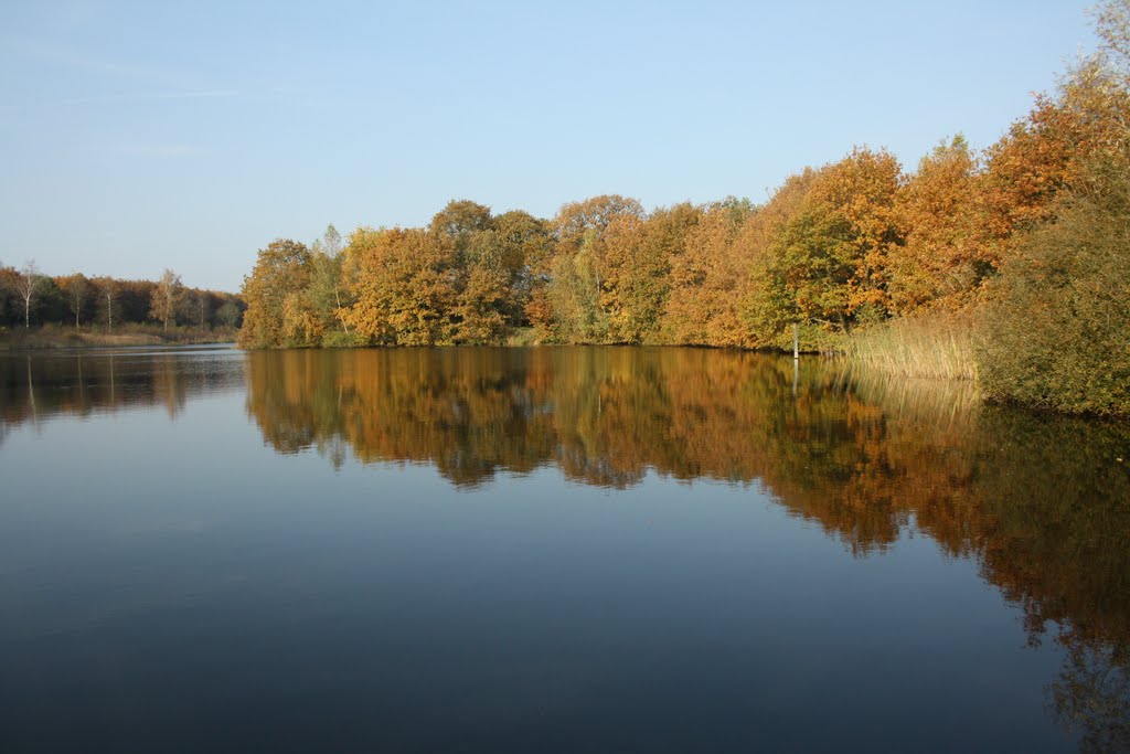 Veendiep in de herfst by flodurf