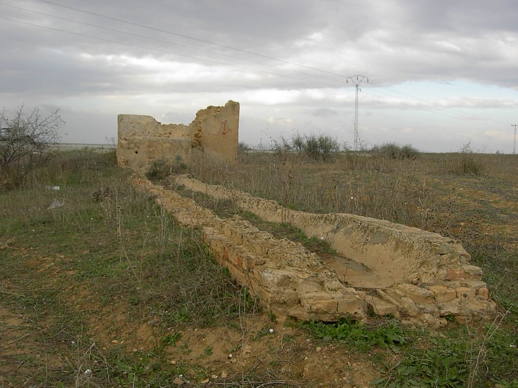 Le puits romain de Kondar by Rached Msadek