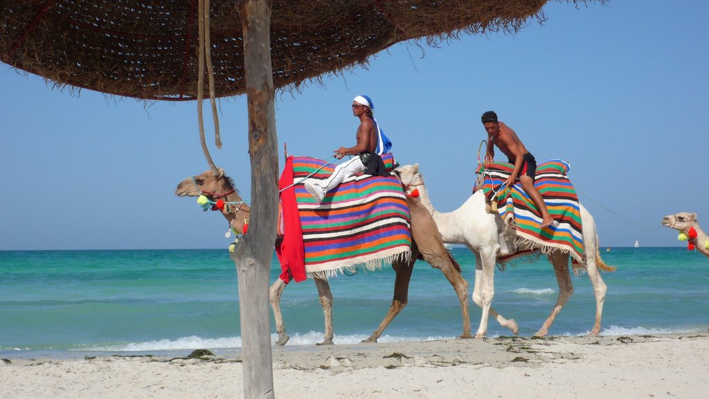 Plage Djerba by Patrick Adam