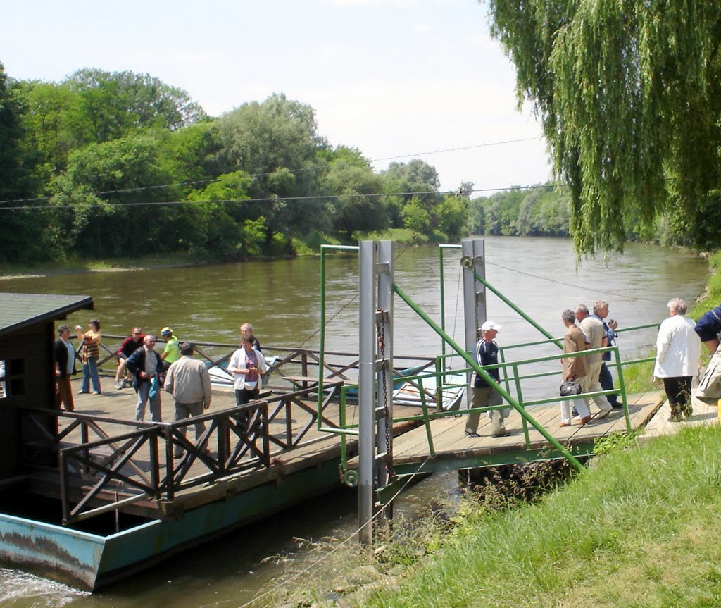 Komp a Murán / Ferry the Mura by Peti József