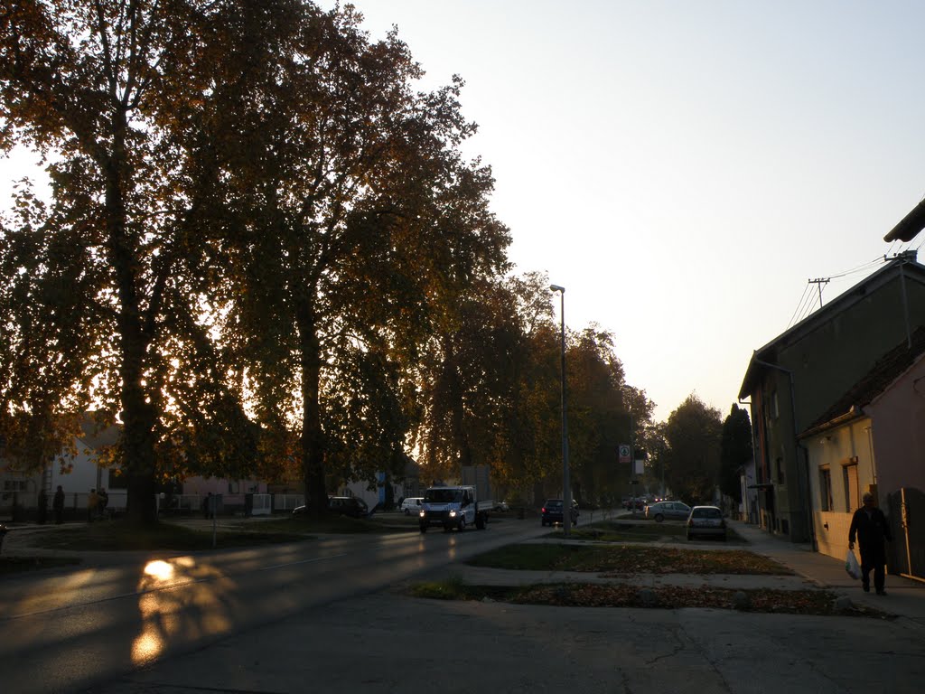 Višnjevac, Ulica bana Jelačića, studeni 2011. by Tomislav Vukovic