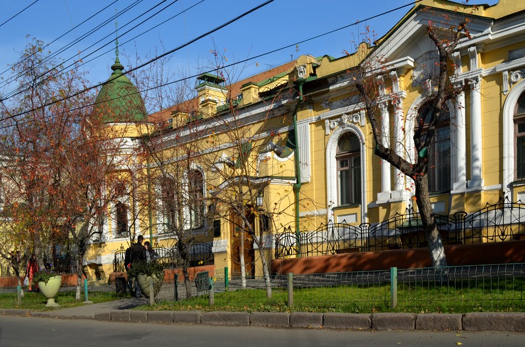 Russia.Krasnoyarsk (61923363) by Viktor Bakhmutov