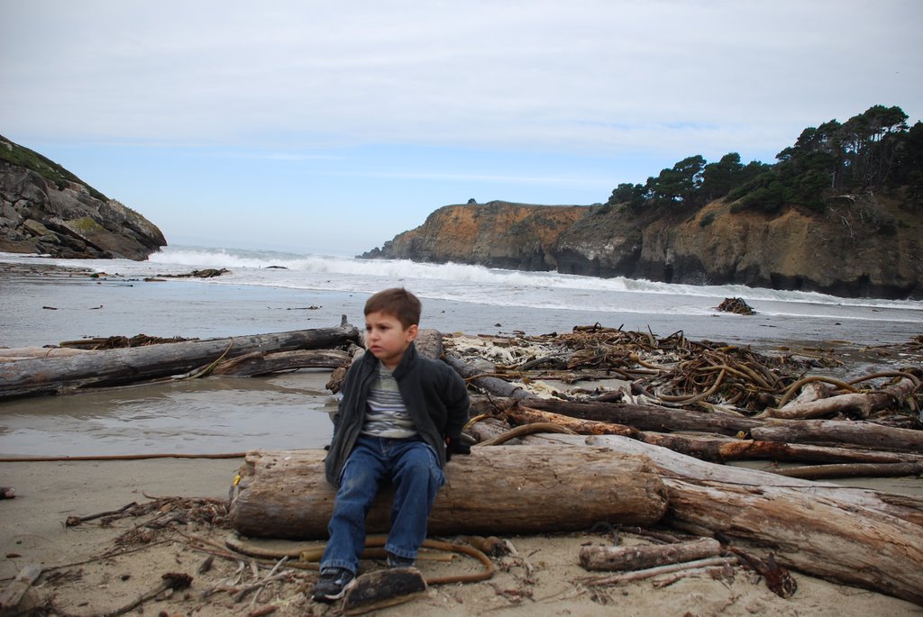 Stump Beach by ermcecilia