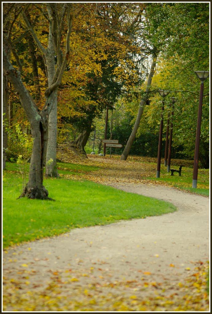 Sentier de la voie verte des viennes (10120) by sergio9