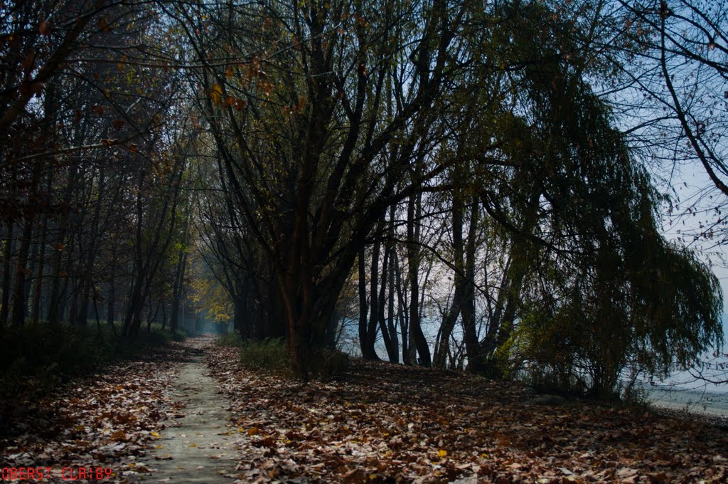 Shore of danube at autumn by claiby