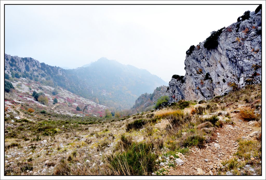 De Sospel à Menton par le GR52: la beauté de la descente du Col du Berceau en automne by violapinnata