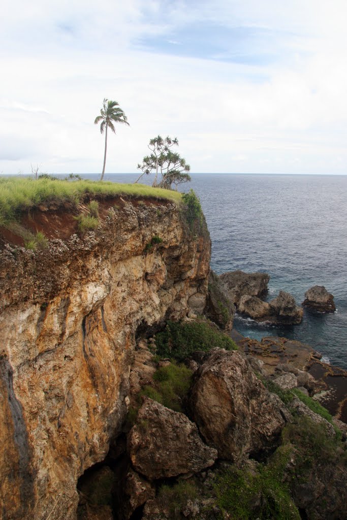 Collapsed Cliffs, Hufangalupe, Tongatapu, Tonga by Ian Stehbens