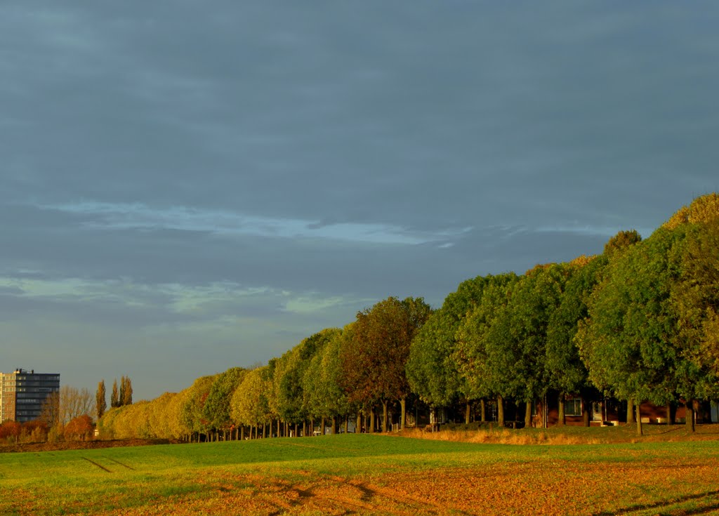 Tower road by Tombstone65