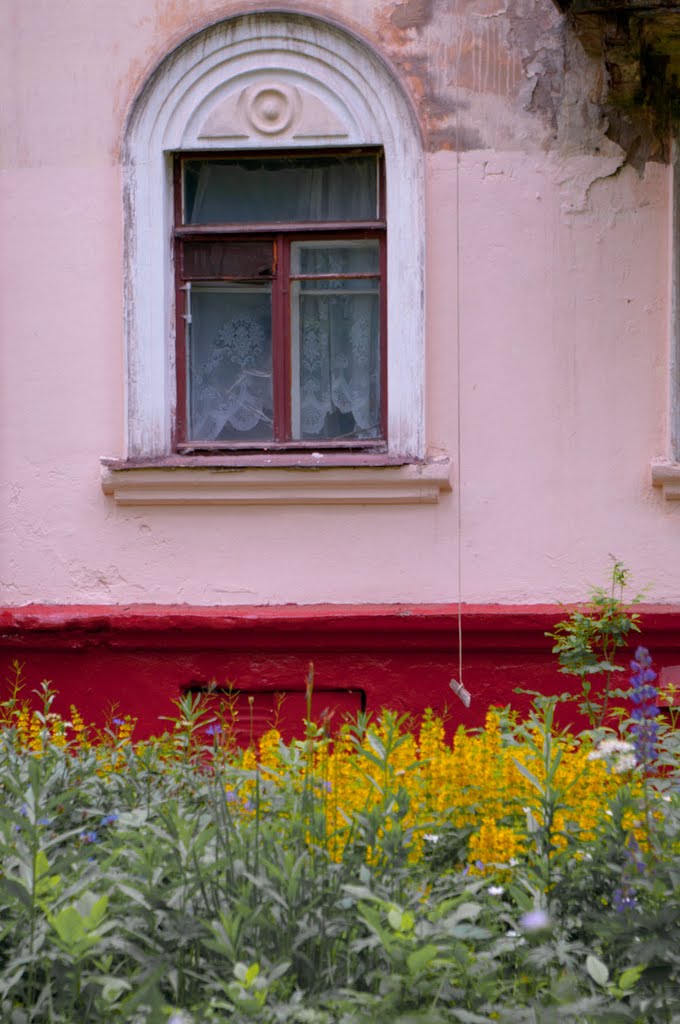 A little house in Khimki by Irinna