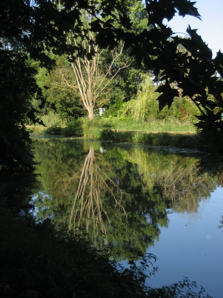 Canal d'Orléans near Buges (Loiret) by Maarten Sepp