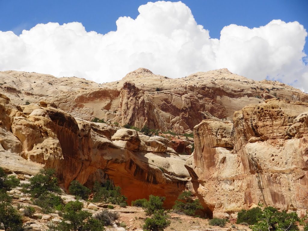 Can you spot Capitol Reef NP's Natural Bridge? by McSky