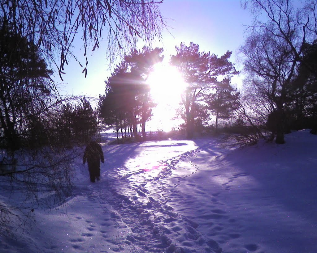 Winter in Sandviken by Hansson