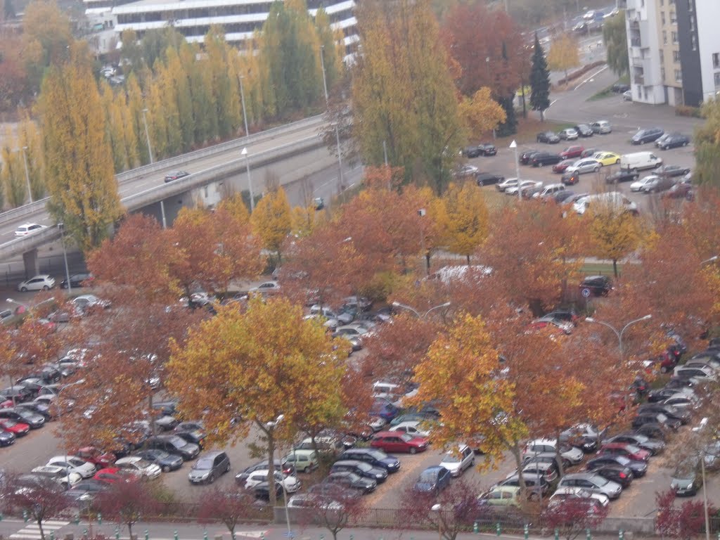 Autumn Car Park by thenamiamano