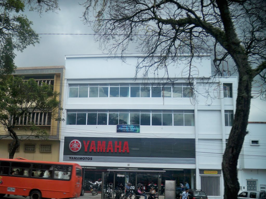 Yamaha Yamamotos Ibague by Alexander Trujillo