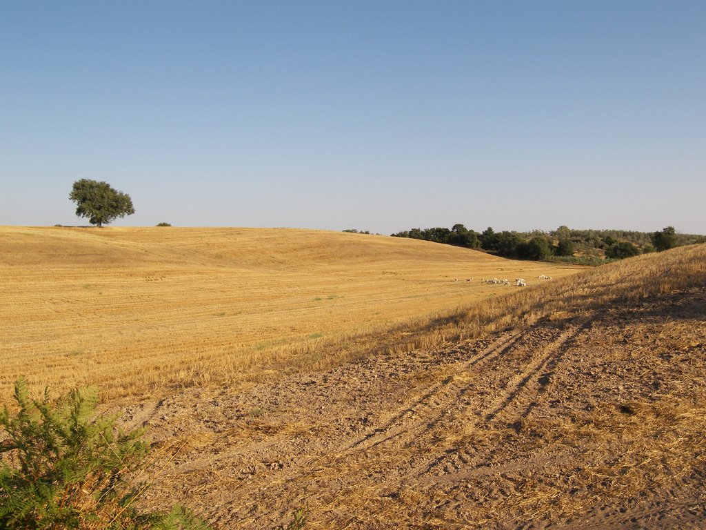 Paesaggio maremmano presso Cellere by lucabellincioni