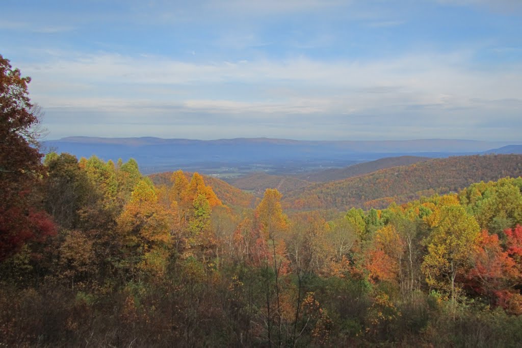 Skyline Drive in Fall by Jessica G.