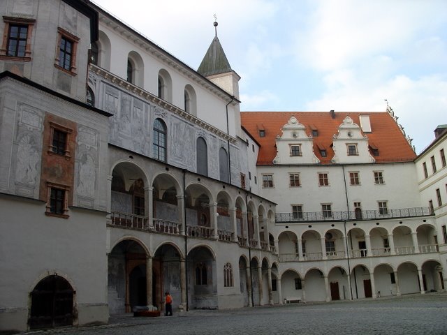 Neuburg Castle by Gung