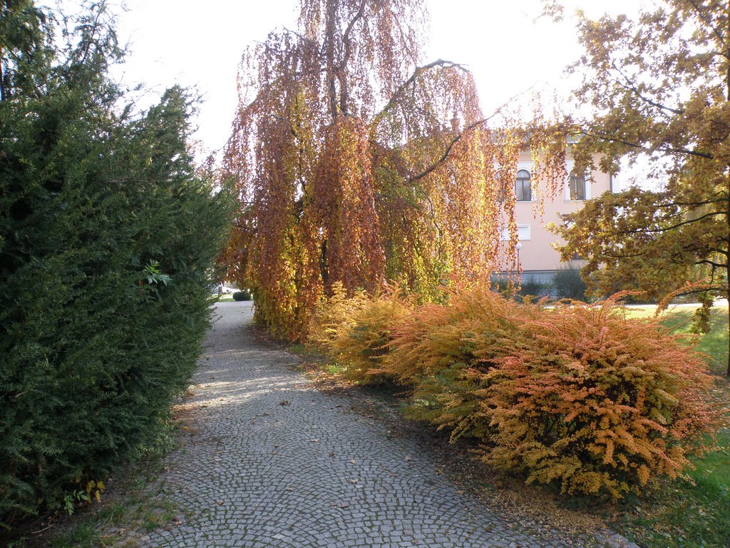 On the way through the park / Na cestě parkem by DM brothers