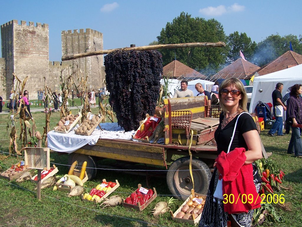 "Smederevska jesen", Smederevo, Serbia by Miša M.