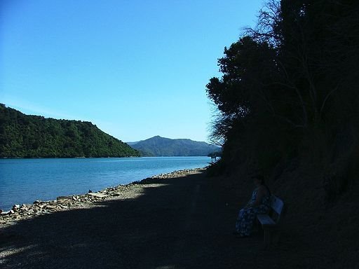 View along Queen Charlotte Sound, Picton Harbour by Greg Steenbeeke