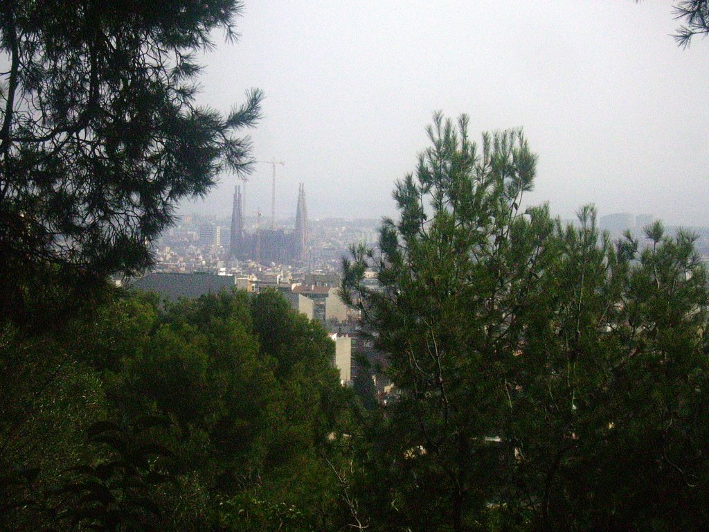 Barcelona - view to sagrada familia from parc guell by Maarten Groenbroek