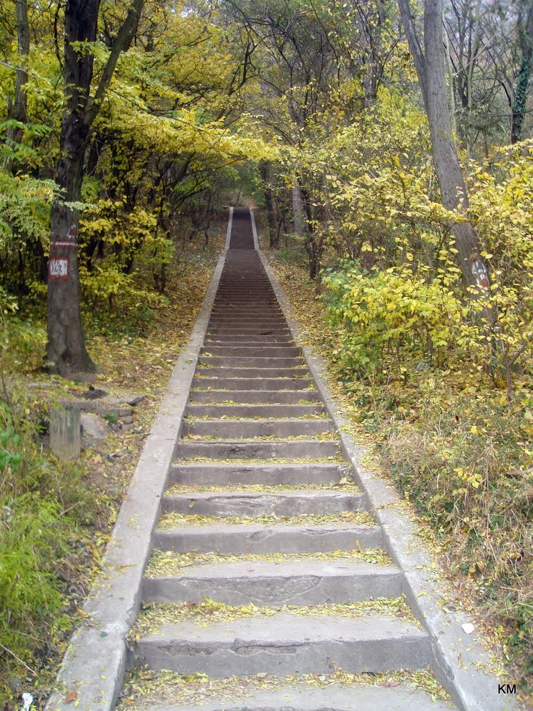 Stairs to the fortress by Gyurka Márta