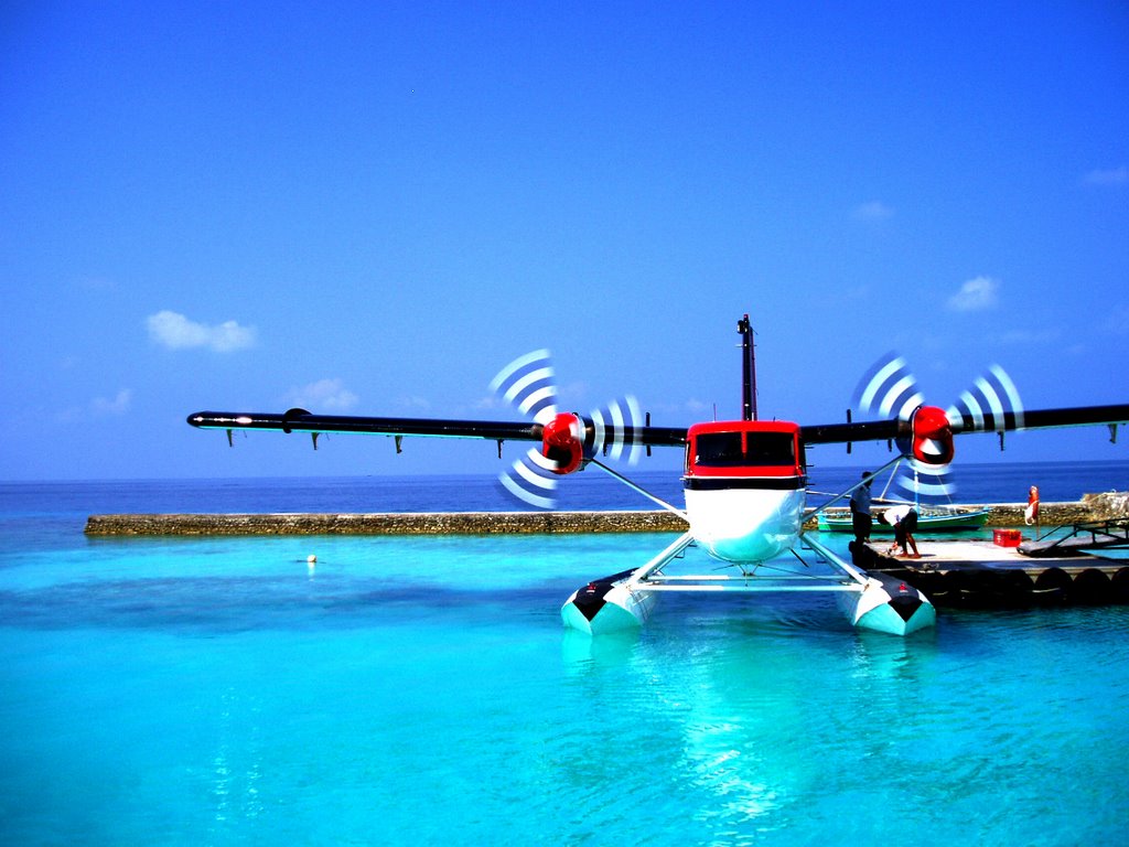 Seaplane arriving by Triggerfiish