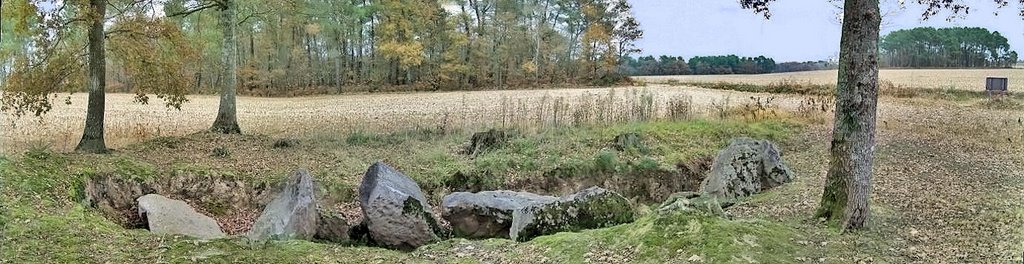 Allée couverte de la Pithyé by Le panda landais