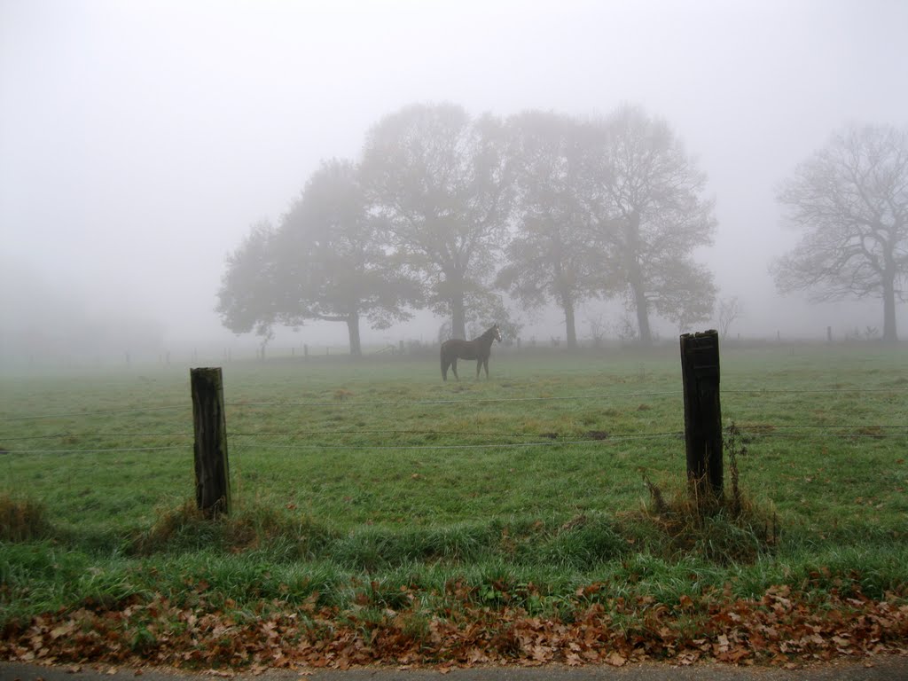 Herbst 2011 by Mart Klink