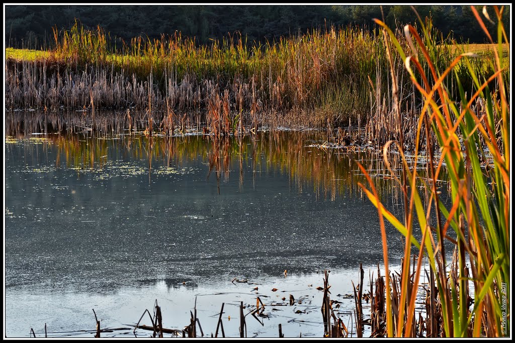 Stagno di Brozin by ► Marco Vanzo