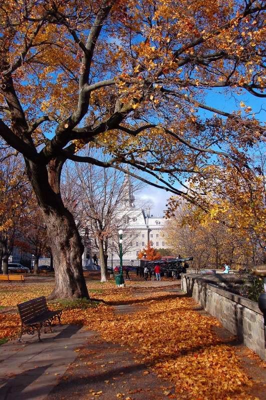 Parc Montmorency by porto62