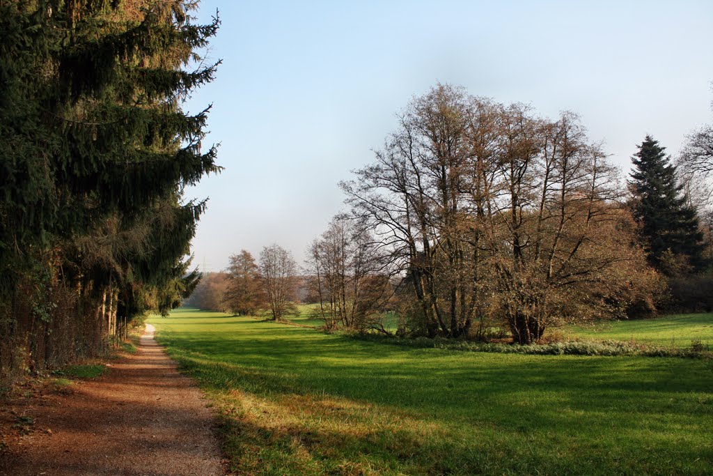 Im Goldbachtal by oller rainer