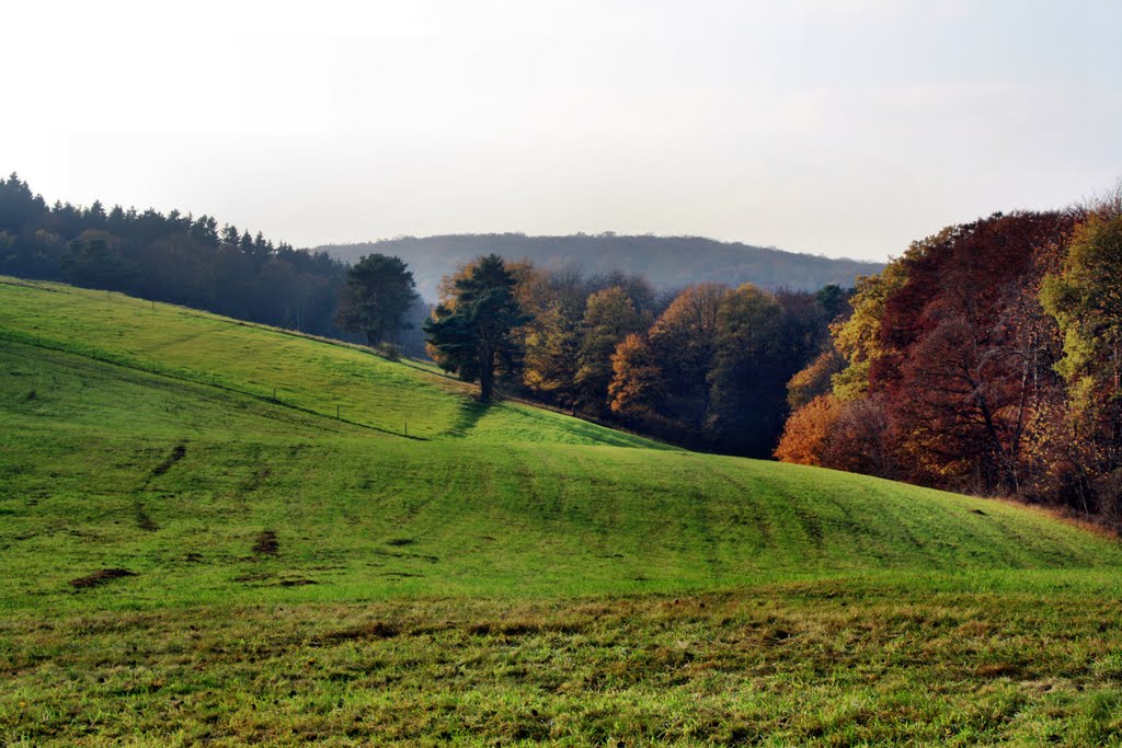 Niedererbacher Alm by oller rainer