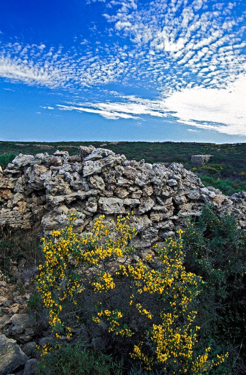 Similar patterns in the flower, wall and sky, Kythera island, Greece. by George Messaritakis