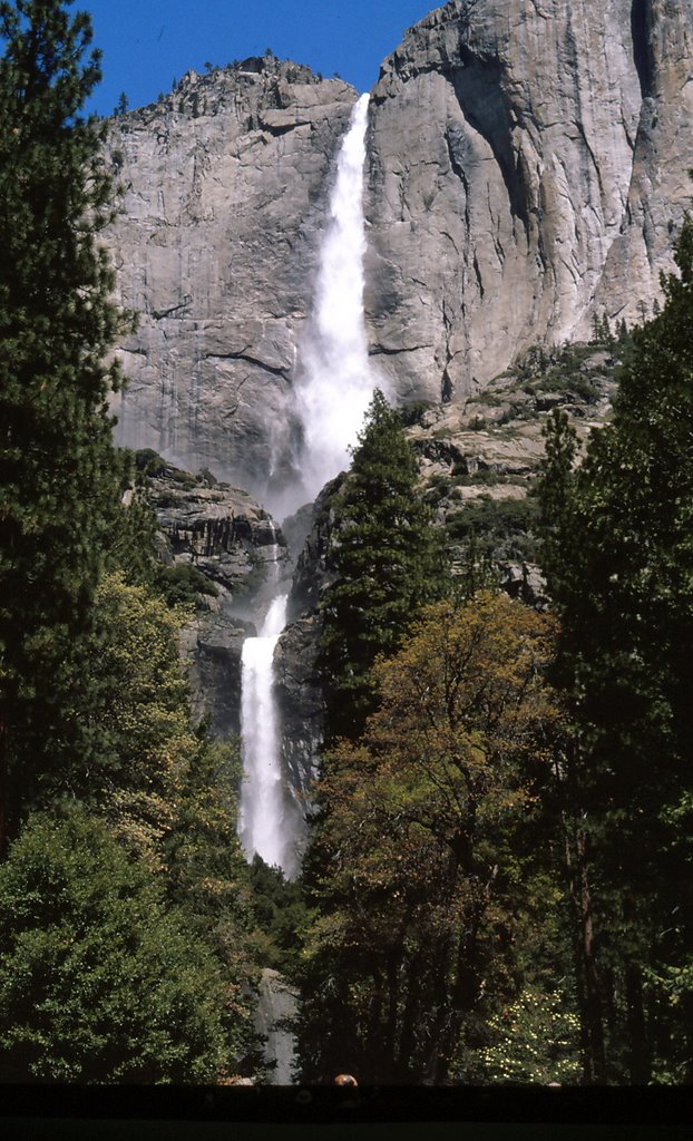 Yosemite Falls by nummer03