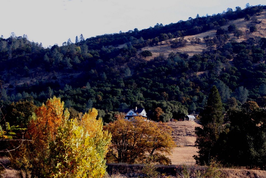 Sutter's Mill, Coloma, CA by Cody T. Salinas