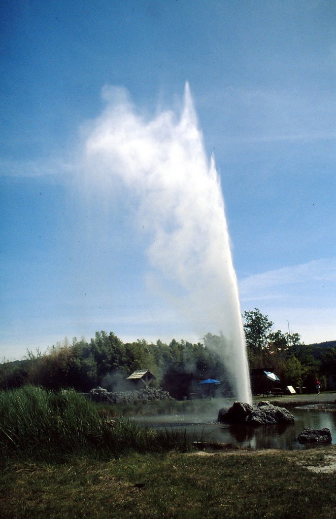 Old Faithful geyser, Calistoga, CA by nummer03