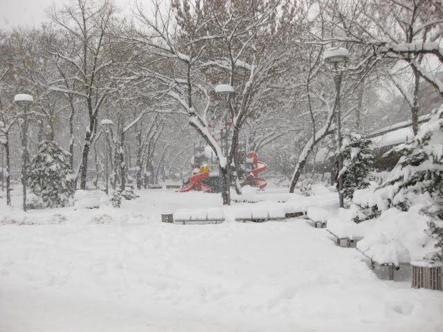 Güven Park / Winter - Ankara / Turkey (2011) by Abu cam