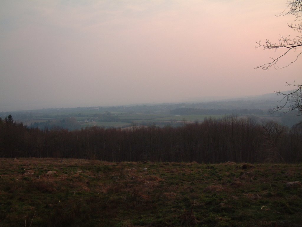 Aylburton Woodland Upper Common View by Alex Folkard - Personal Collection