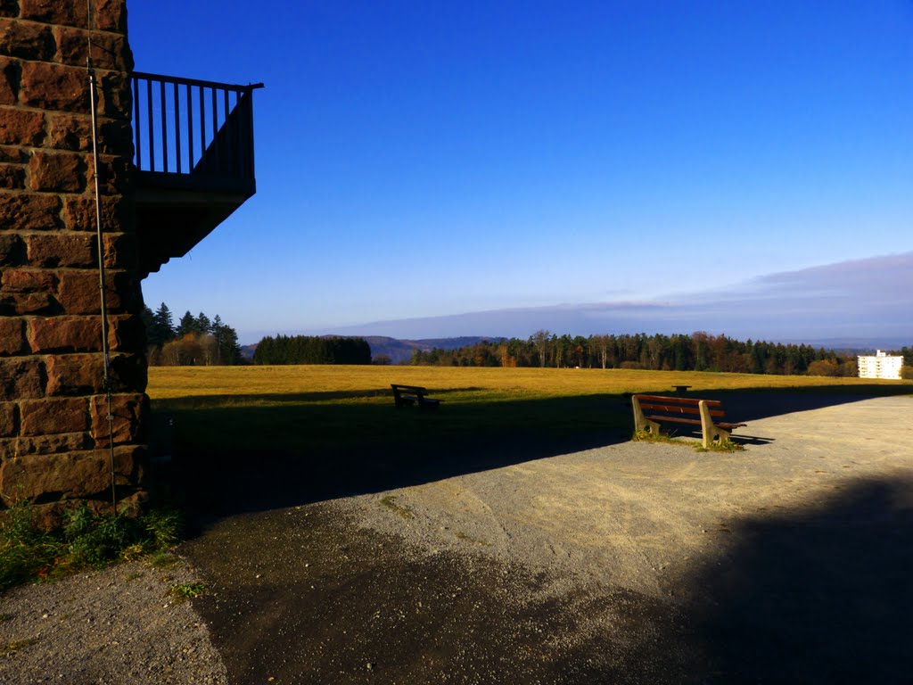 Benches Under The Tower by Dg-505