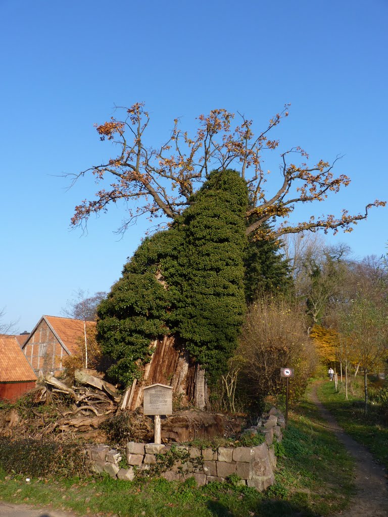 Scharnebeck, Mühlenteich. by anne48