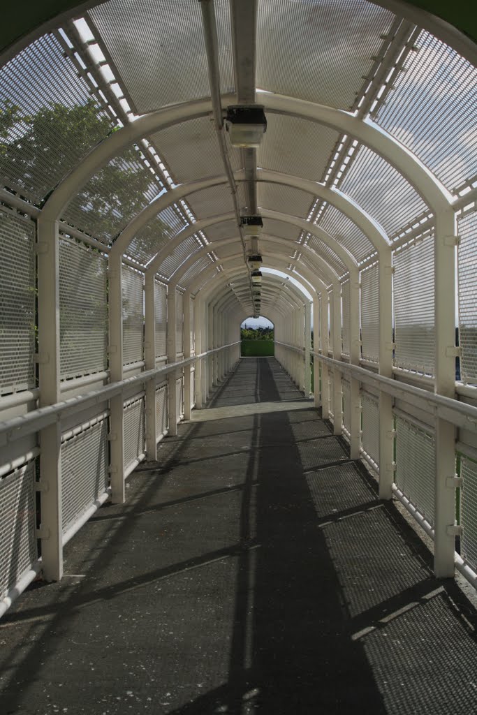 Puente peatonal sobre la Avenida Román Baldorioty de Castro en la zona de Isla Verde-Carolina by Ricardo David Jusino